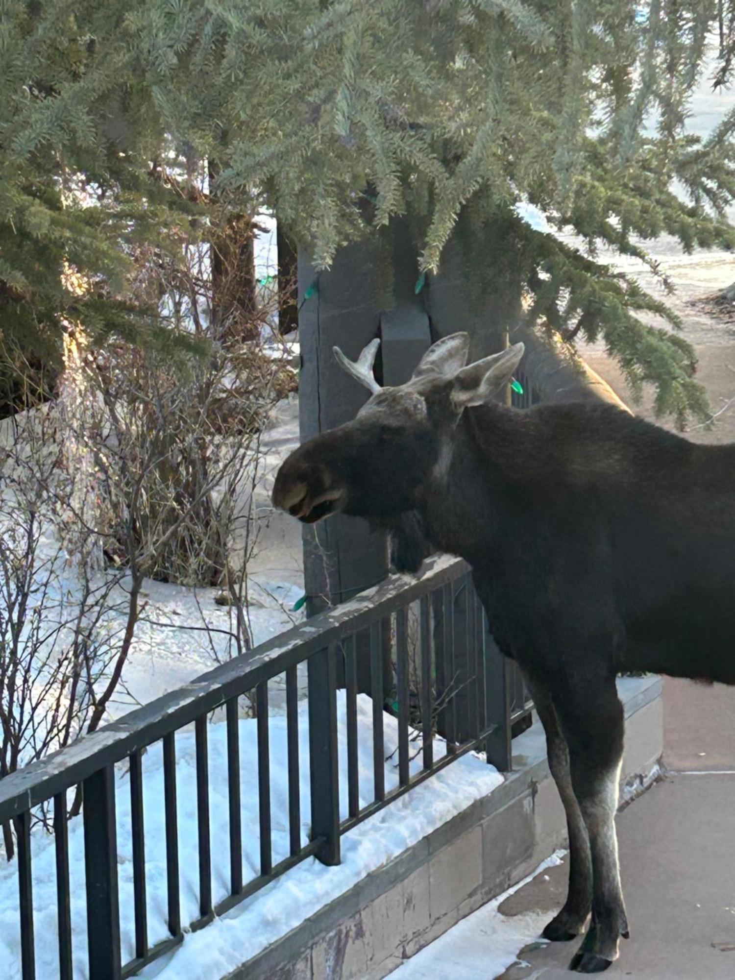 Wild Irishman 1043 By Summitcove Lodging Keystone Exterior foto